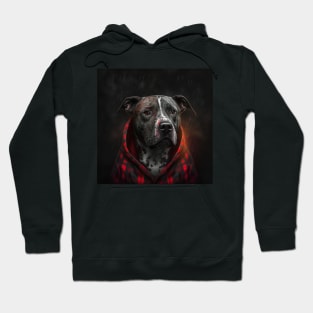 Scared Staffy Hoodie